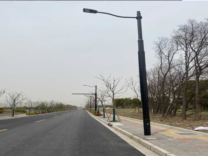 安定区上海综合杆 太阳能路灯工程
